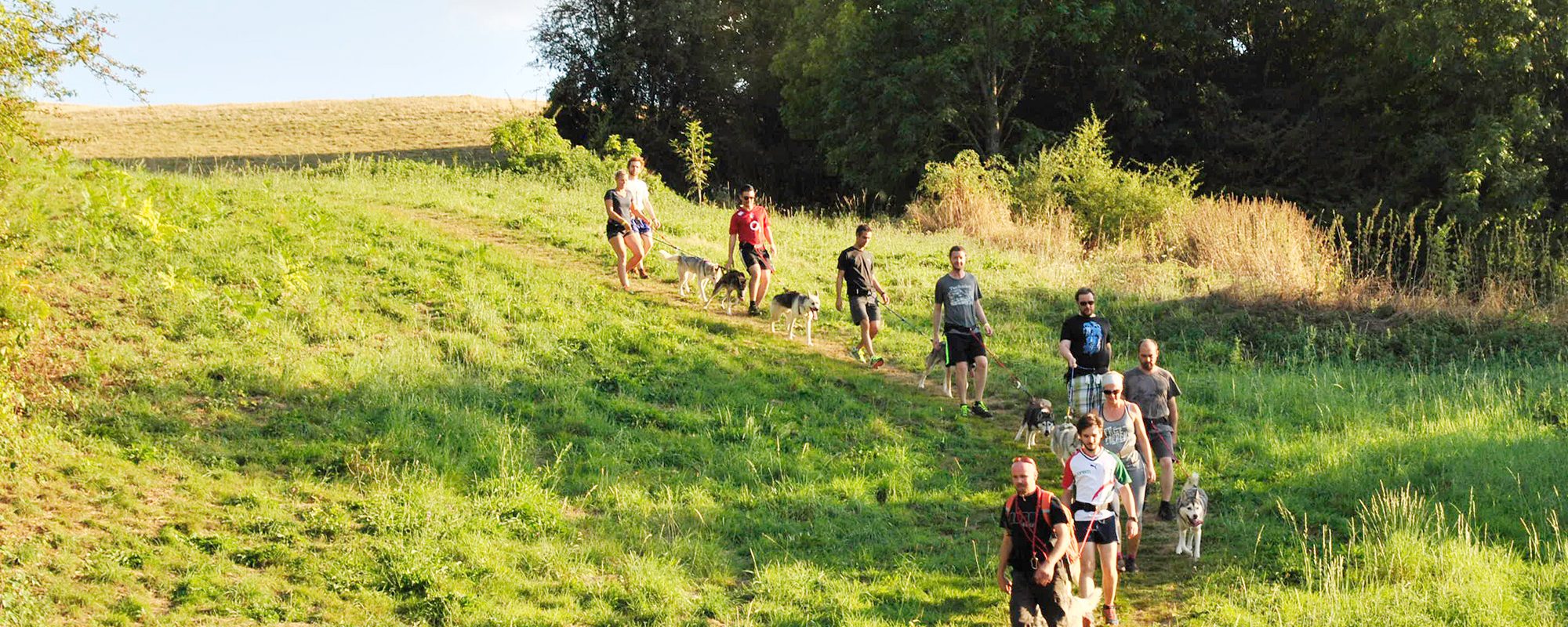 Groupe de cani-rando