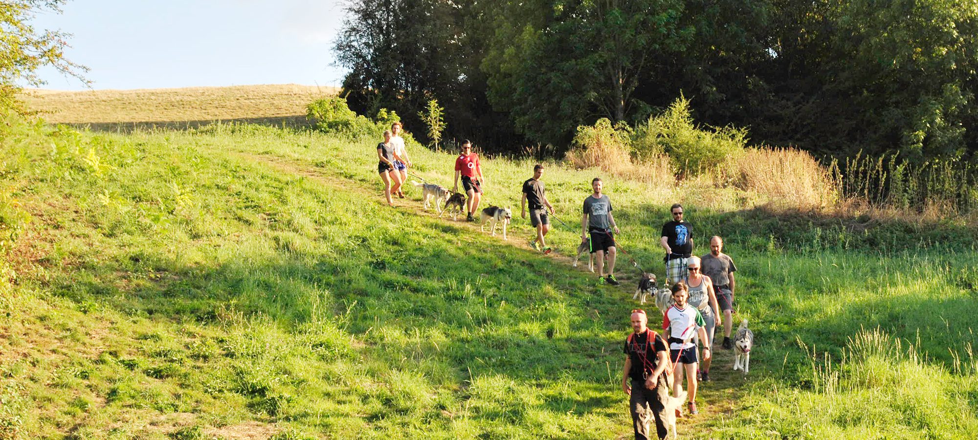 Groupe de cani-rando