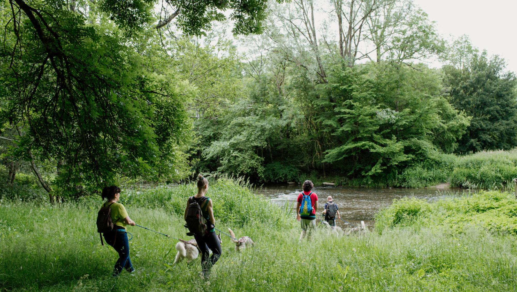 Cani-rando autour de Saint-Céneri-le-Gérei