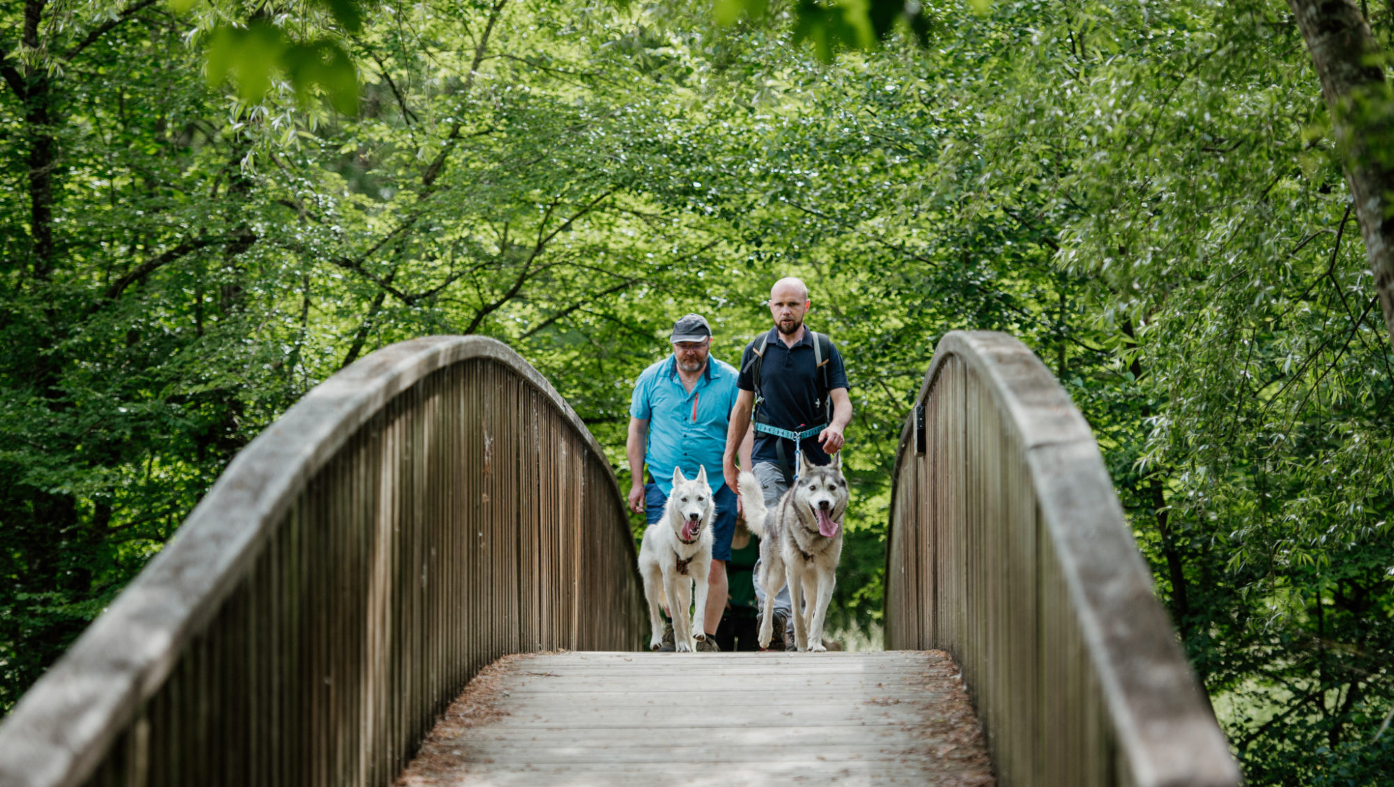 Cani-rando autour de Saint-Céneri-le-Gérei