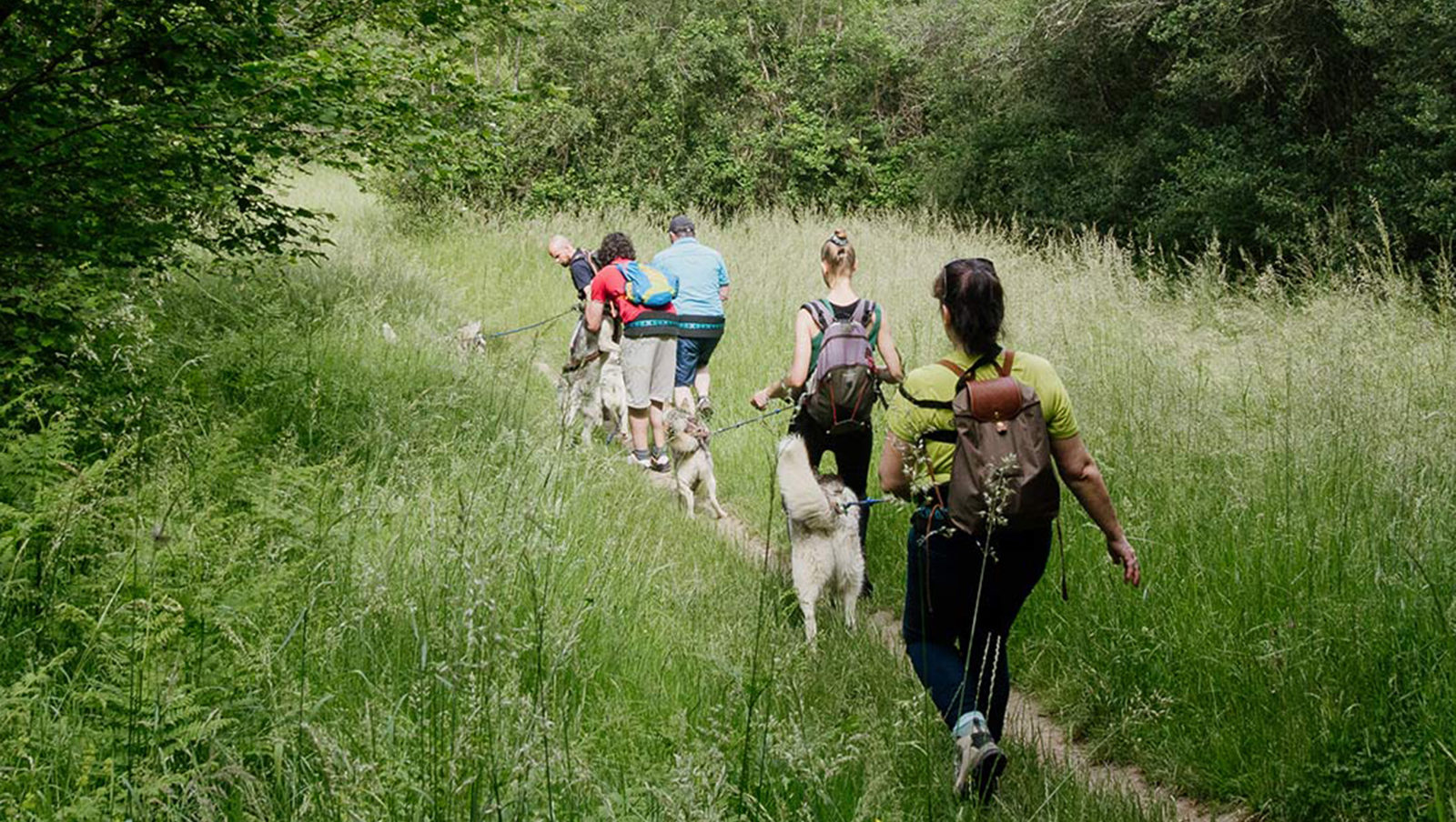 Cani-rando autour de Saint-Céneri-le-Gérei